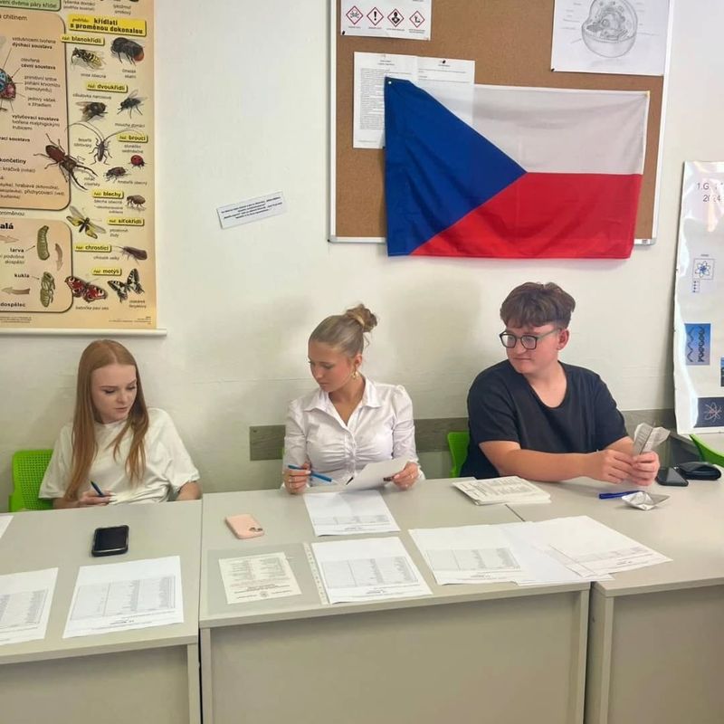 Volby a bechavolejbal